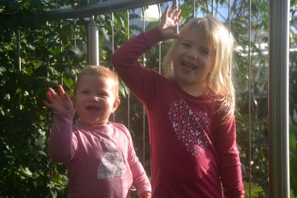 Tin Box Baby and Tot - butterflies at RHS Wisley