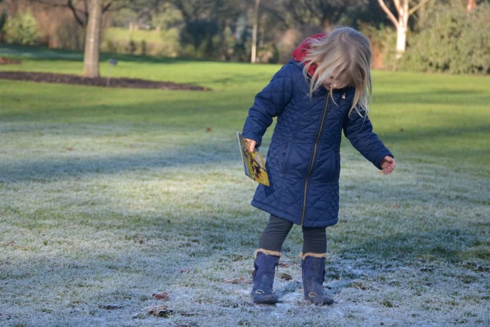 Tin Box Tot looking at frost - butterflies at RHS Wisley