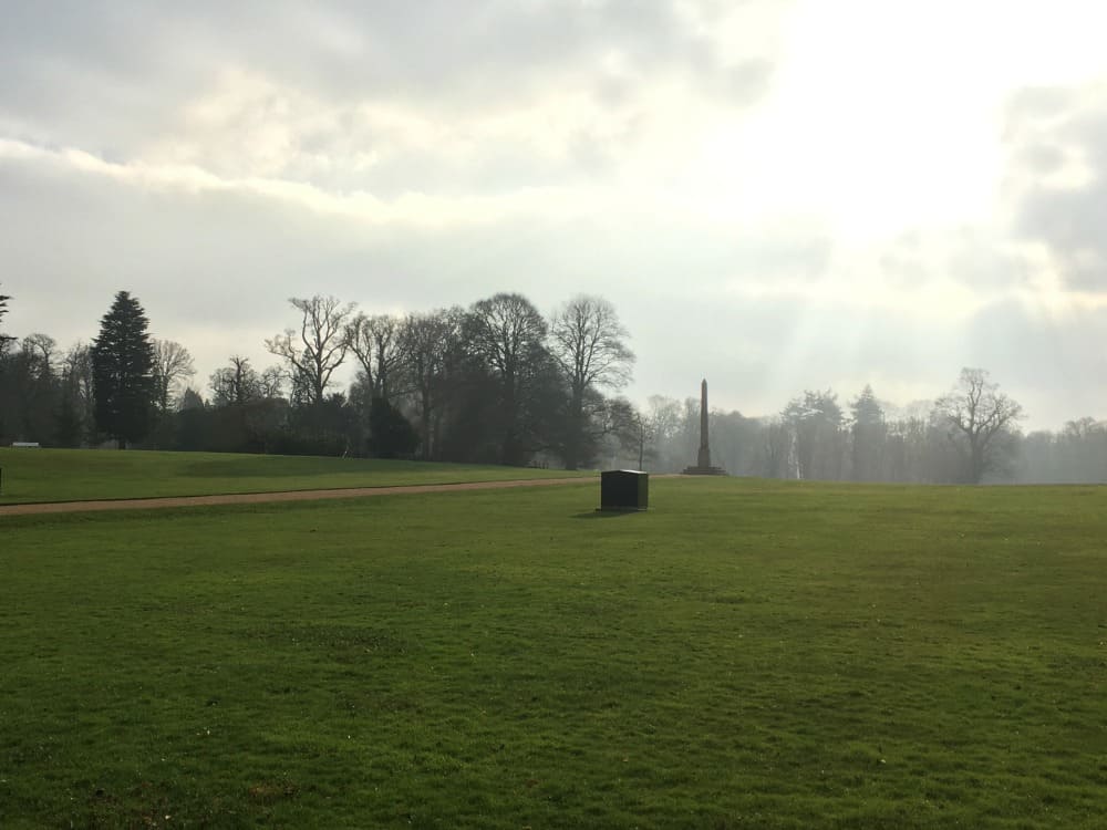 Grounds at obelisk - First signs of Spring at Kingston Lacy National Trust