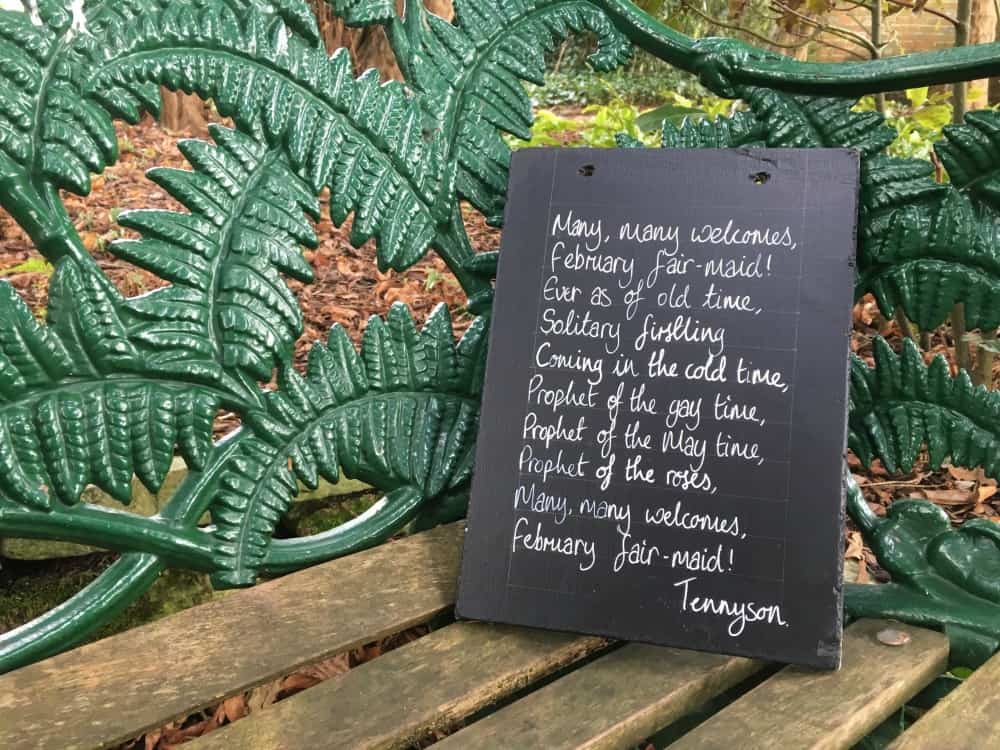 Tennyson poem on slate - Tin Box Baby in front of Kingston Lacy - First signs of Spring at Kingston Lacy National Trust
