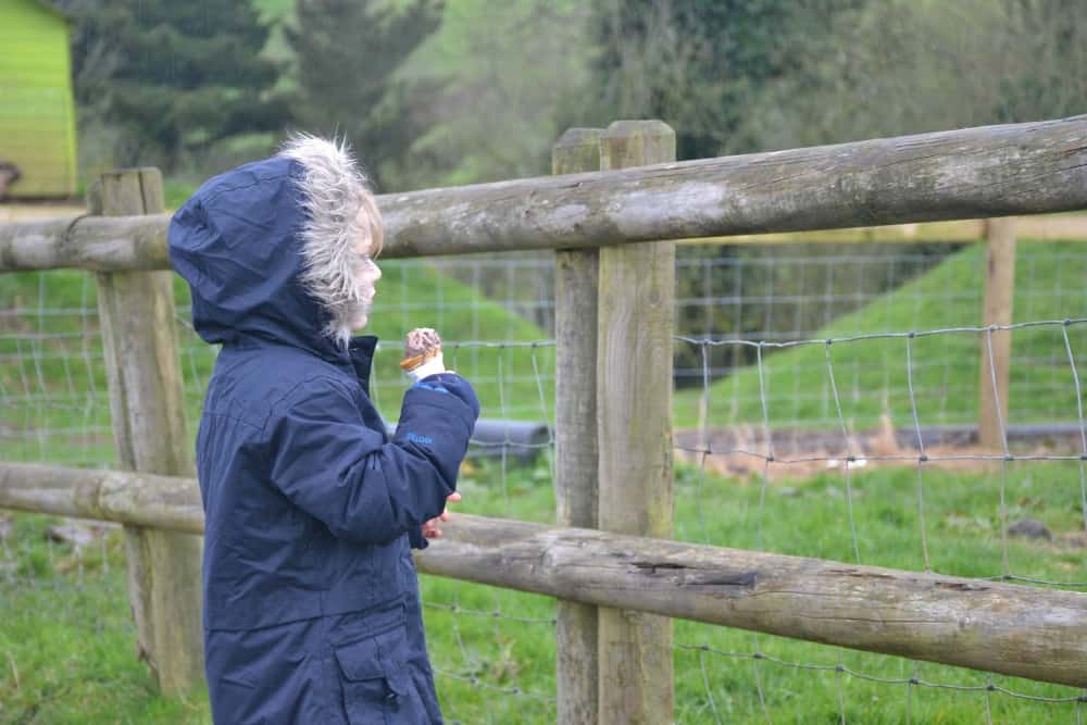 Tin Box Tot at farm at Woodlands: Easter in Devon