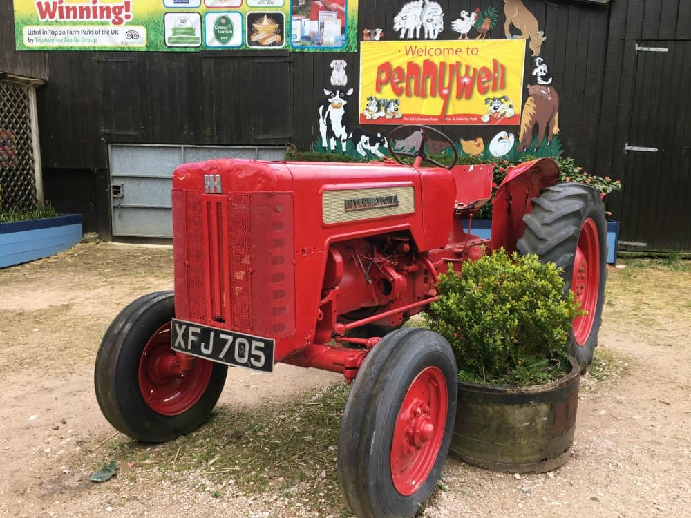 Devon Day Out: A Pigging Good Time At Pennywell Farm - Tin Box Traveller