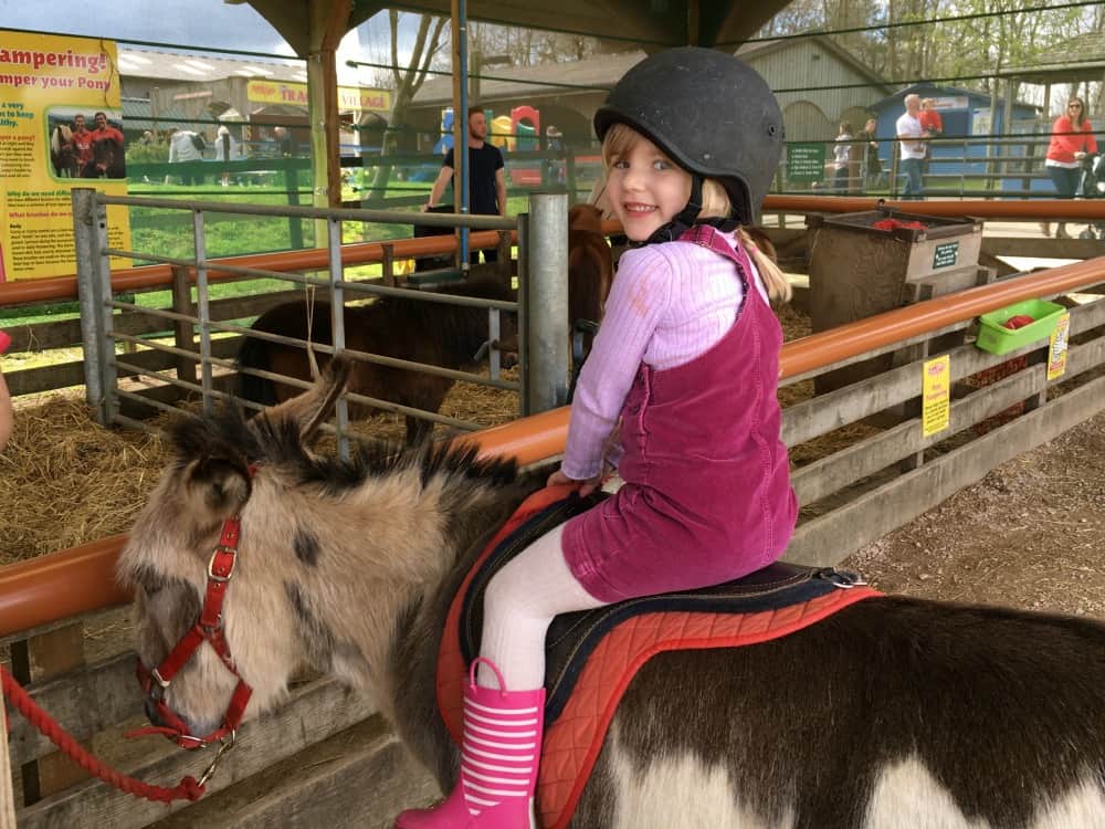 Tin Box Tot on donkey - Devon day out at Pennywell Farm