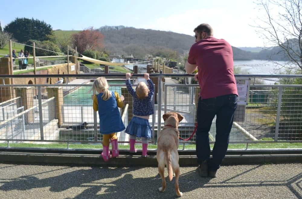 Tin Box family looking at seal pools: dog-friendly day the Cornish Seal Sanctuary