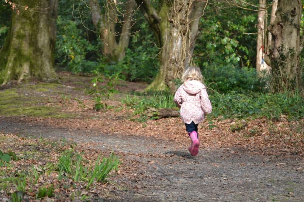 Tin Box running in woodlands - Woodland lodge resort for families: St Ives Holiday Village review