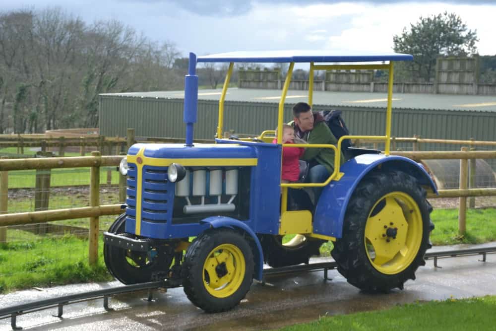 Mr Tin Box and Baby on Tractor ride at Woodlands: Easter in Devon