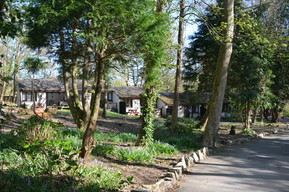 Woodland chalets - Woodland lodge resort for families: St Ives Holiday Village review