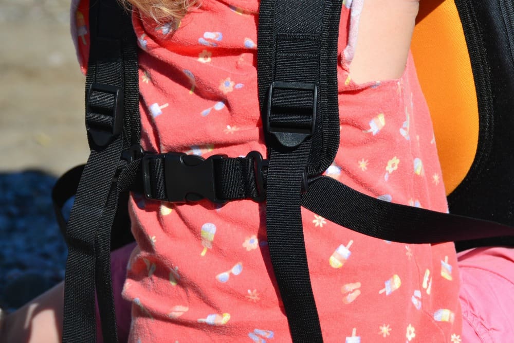 Buckles on the Freeloader child carrier