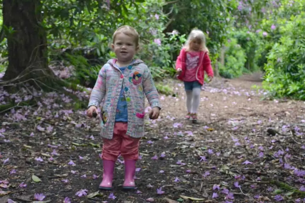 Tin Box girls collecting pine cones - Relaxing at Darwin Forest Country Park - spa lodge weekend review