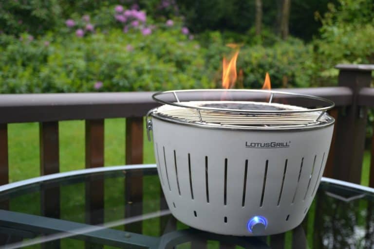 Flaming barbecue grill - Tips for a sizzling summer barbecue