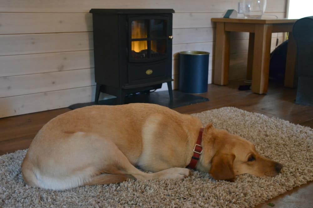 Tin Box Dog - Relaxing at Darwin Forest Country Park - spa lodge weekend review - holidays with dogs in the UK