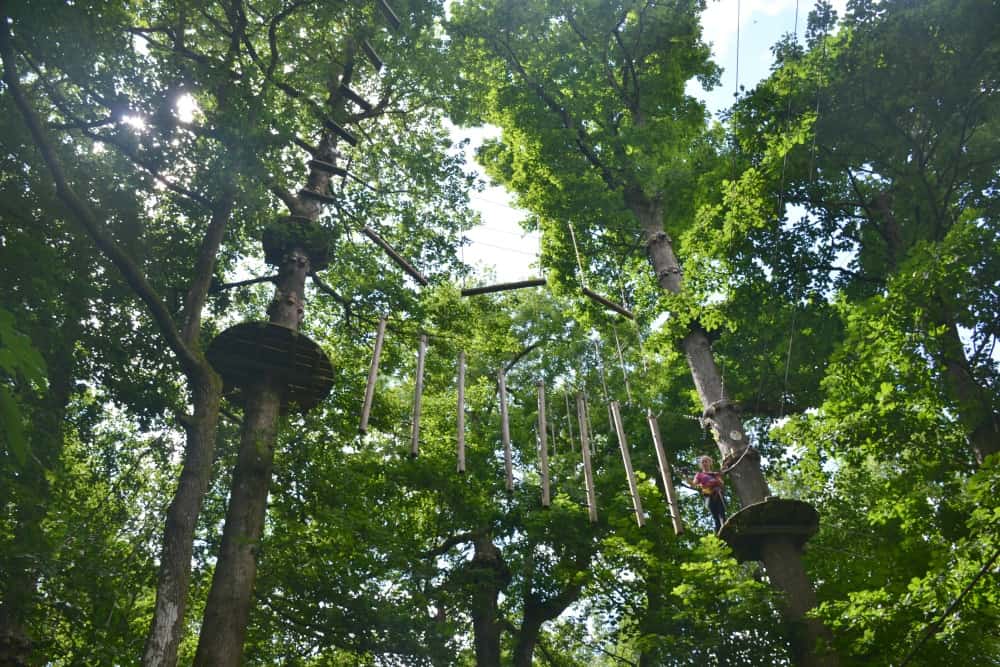 Tree top trail - Le Grand Defi tree top fun in France