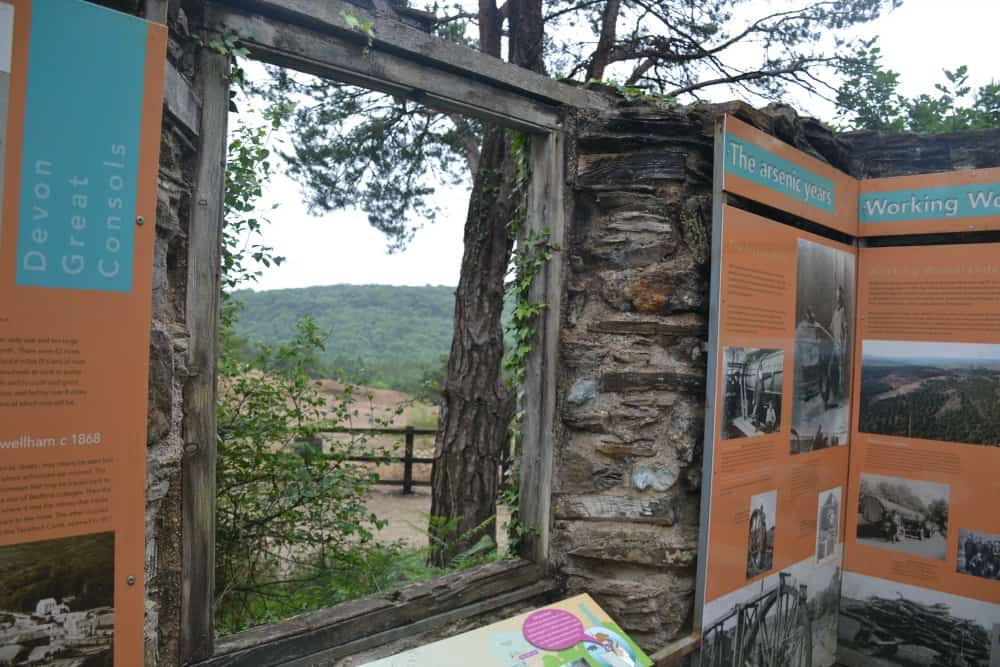 Devon Consoles information - Devon family cycle routes: Tamar Trails with kids