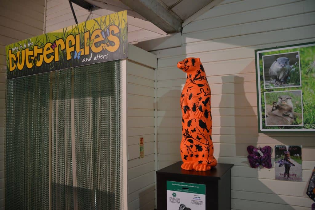 Bright Side Moor Otter artwork at Dartmoor Otters and Buckfast Butterflies Sanctuary at Buckfast