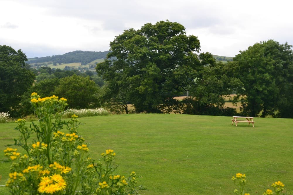 Playing field at Andrewshayes - an East Devon holiday park review