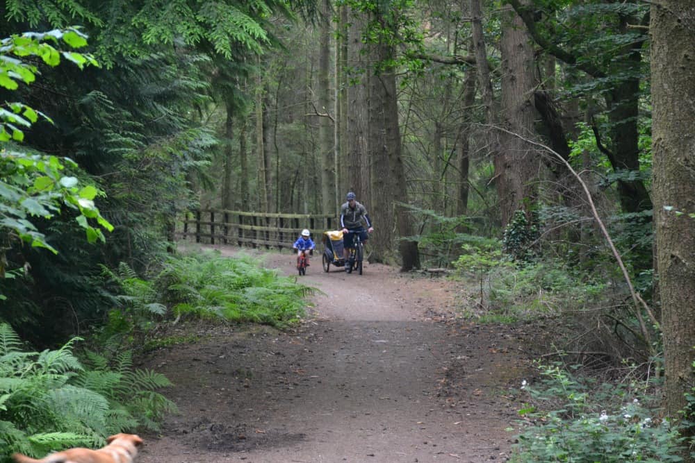 Riding through forest - Devon family cycle routes: Tamar Trails with kids