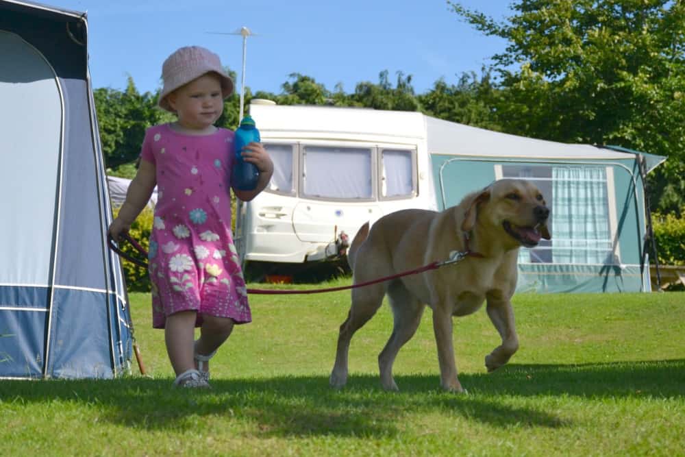 Tin Box Baby and Dog at Andrewshayes - an East Devon holiday park review - UK holidays with dogs