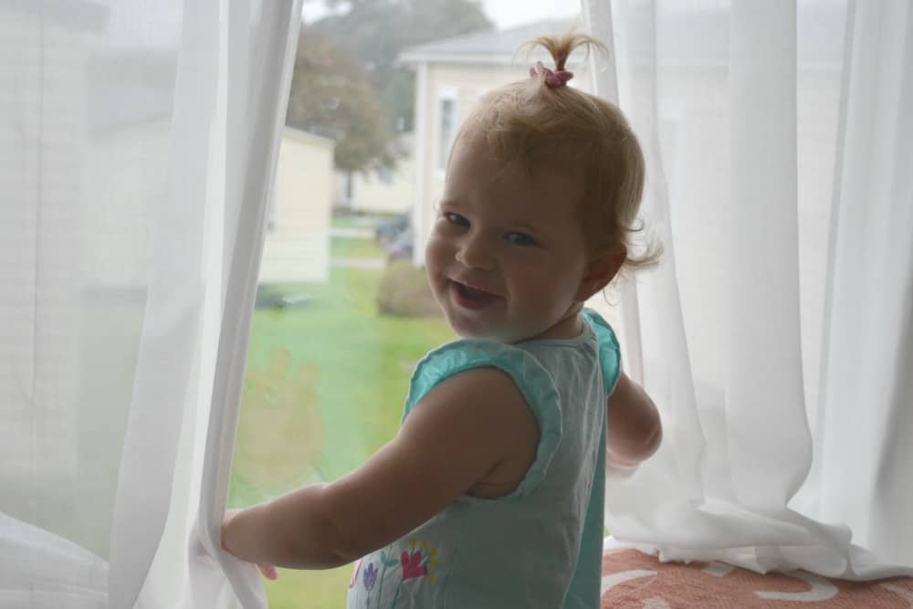 Tin Box Baby at the front window of a Gwithian 3 Bedroom - Premium caravan at Hendra Holiday Park