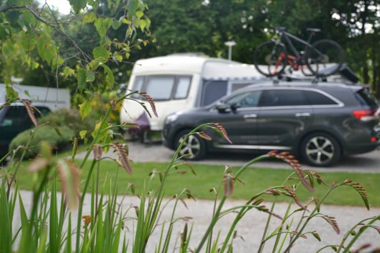 Tin Box on Tamar View Field - Woodovis Park review: 5 star family camping in Devon - holidays with dogs in the UK