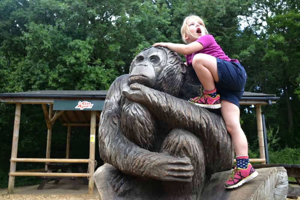 Tot on Ape at Go Ape Southampton - Go Ape with kids