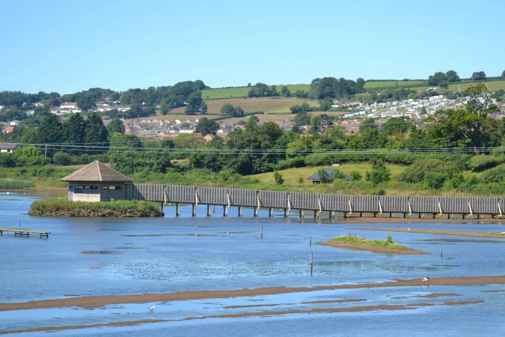 Bird hide on nature reserve - Seaton Tramway - a Devon day out with kids