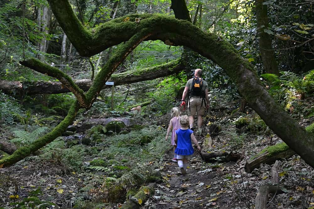 Tin Box family walking through Victorian Fern Garden at Canonteign Falls - England's highest manmade waterfall