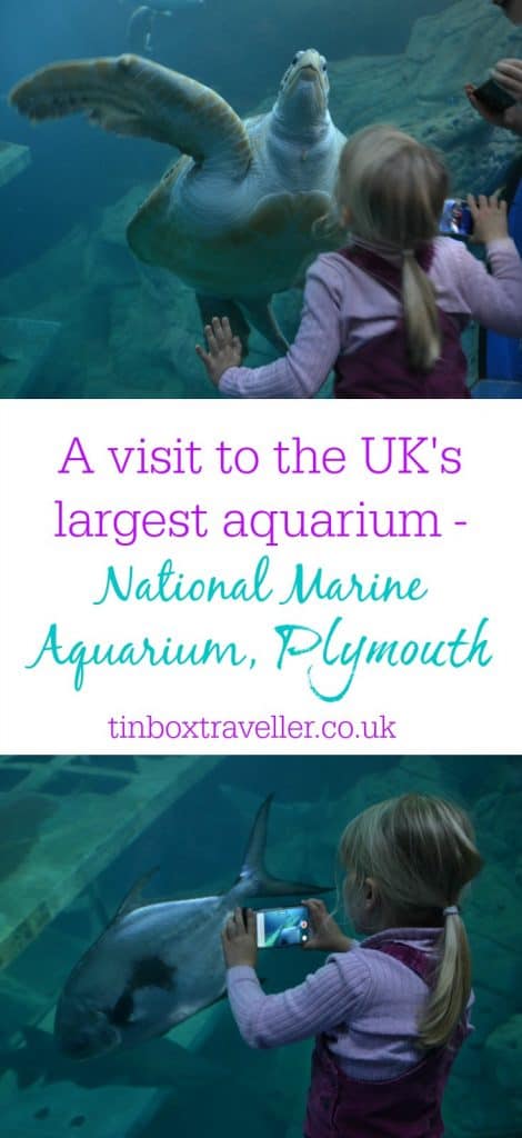Visiting the UK's largest and deepest aquarium in Plymouth. What there is to do for families at this all-weather attraction in South Devon #aquarium #familydayout #familyattraction #Devondayout #Devon #SouthDevon #Plymouth