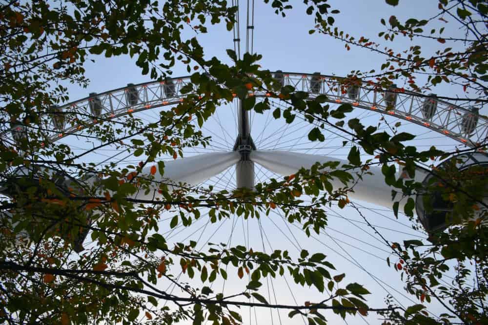 London Eye from below through trees - hidden views of London's South Bank