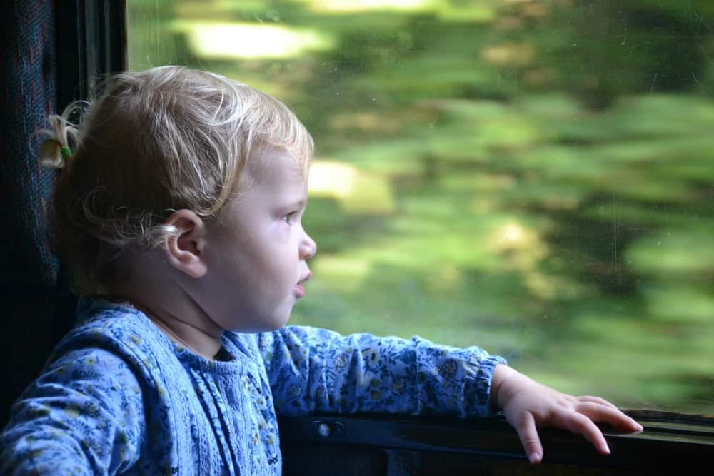 Tin Box Baby at train window - the Round Robin South Devon