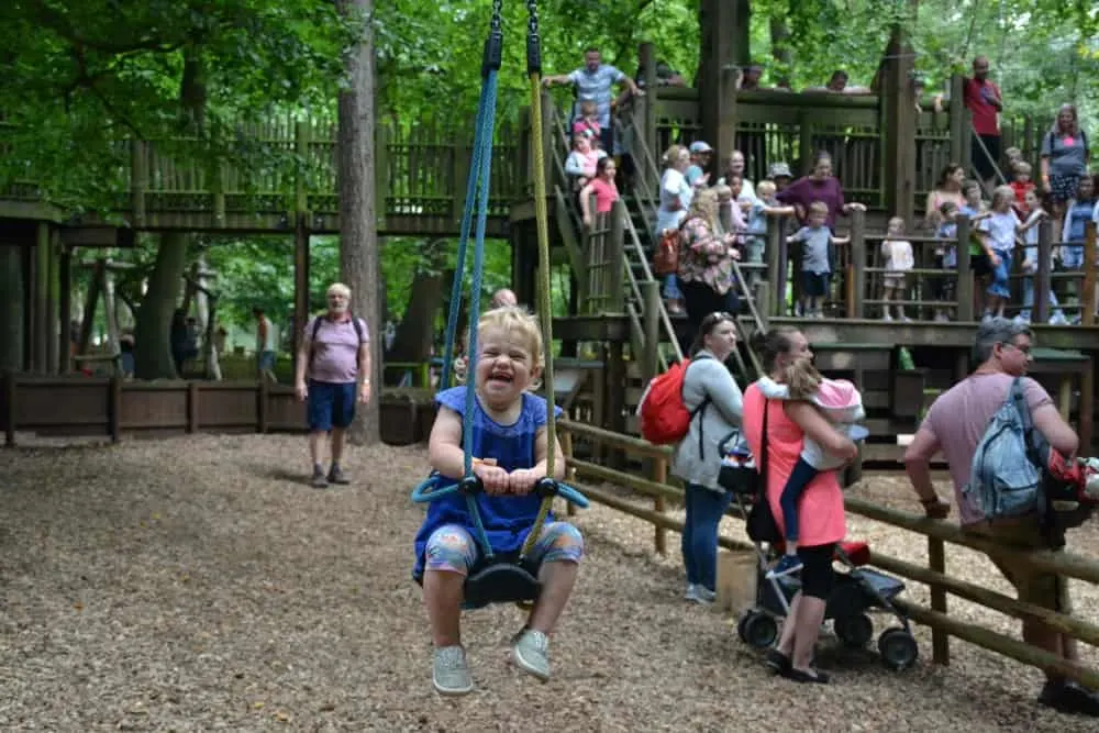 Tin Box Baby on zipline at BeWILDerwood Norfolk