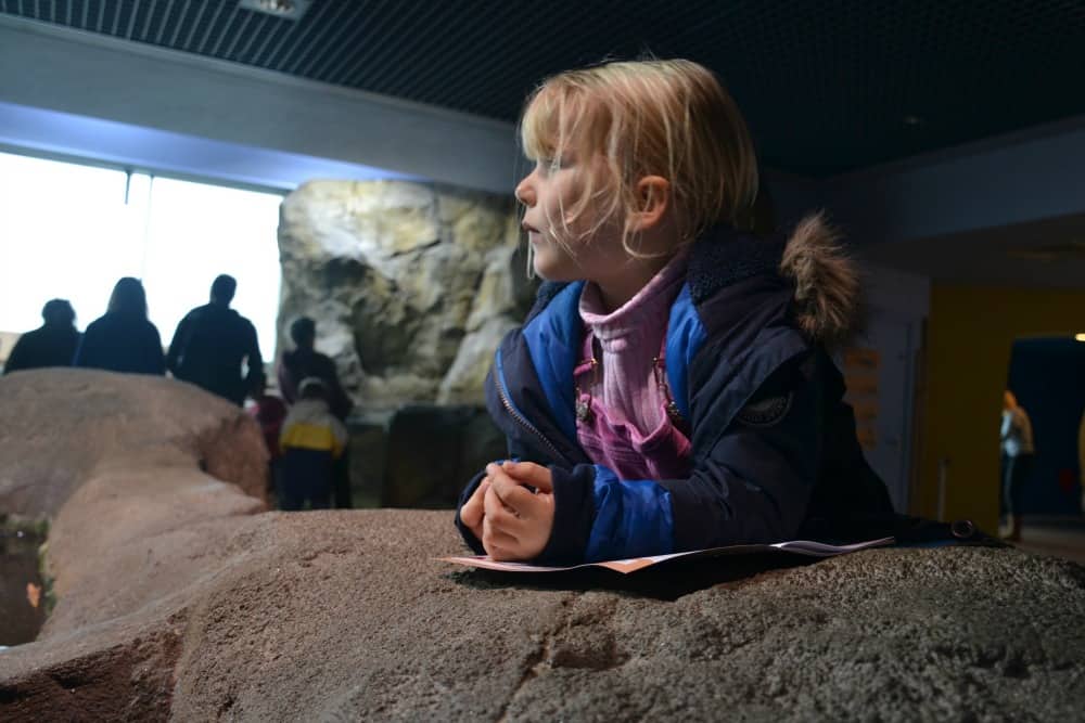 Tot at the rock pool in the Plymouth Sound zone of the National Marine Aquarium - the Uk's largest aquarium