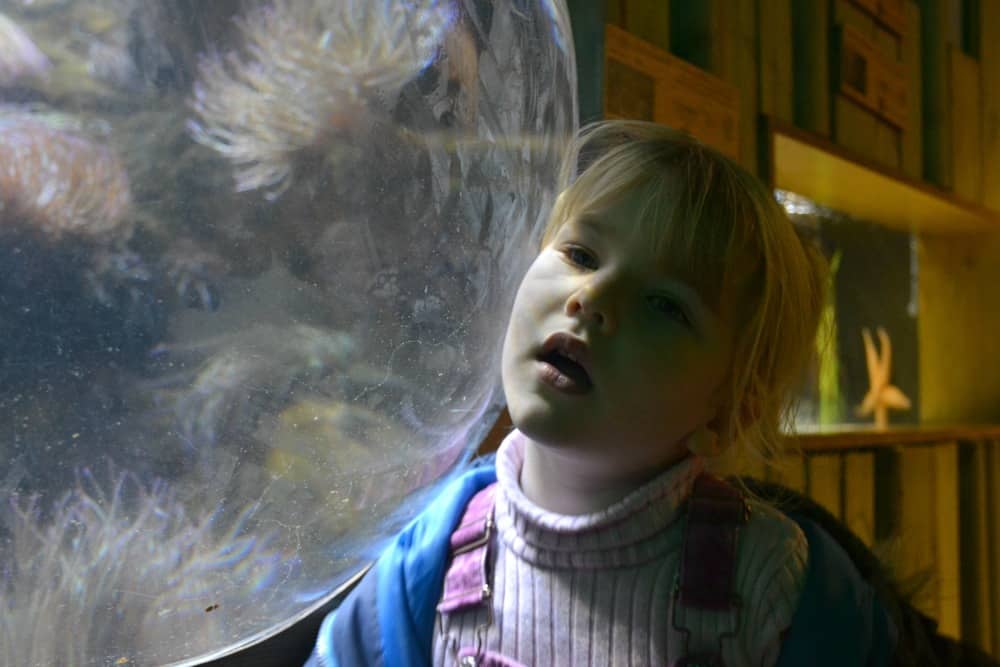Tot listening to the ocean in the Plymouth Sound zone of the National Marine Aquarium - the Uk's largest aquarium
