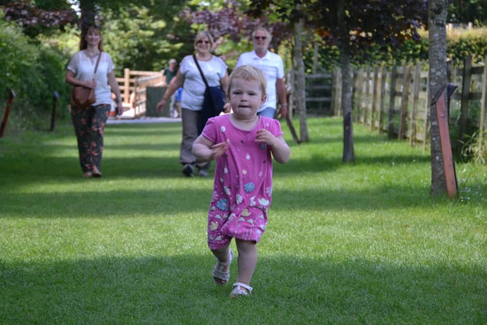 Tin Box Baby running along path at Sidmouth Donkey Sanctuary