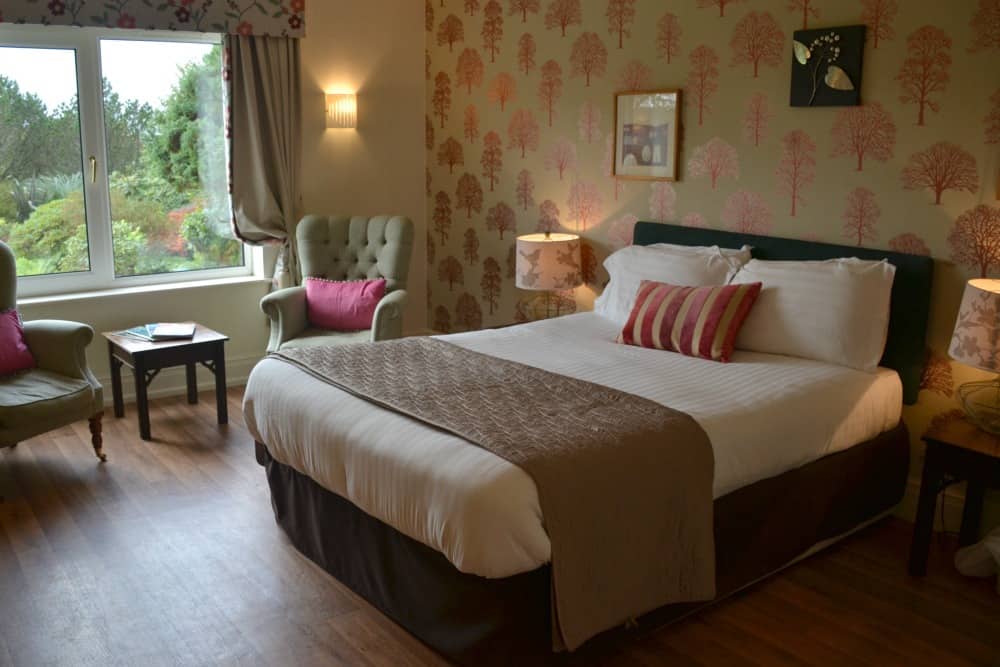 Dog-friendly double room at Moorland Garden Hotel