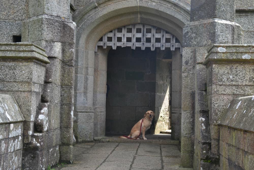Tin Box Dog at portcullis gate - Pendennis Castle with kids