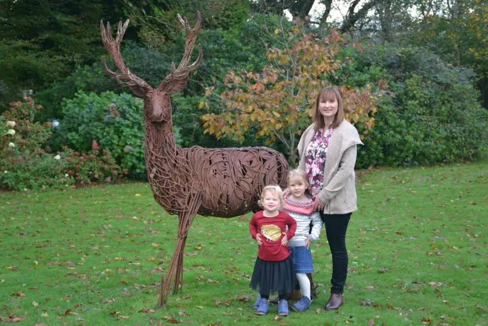 in Box Traveller and girls with deer at Moorland Garden Hotel
