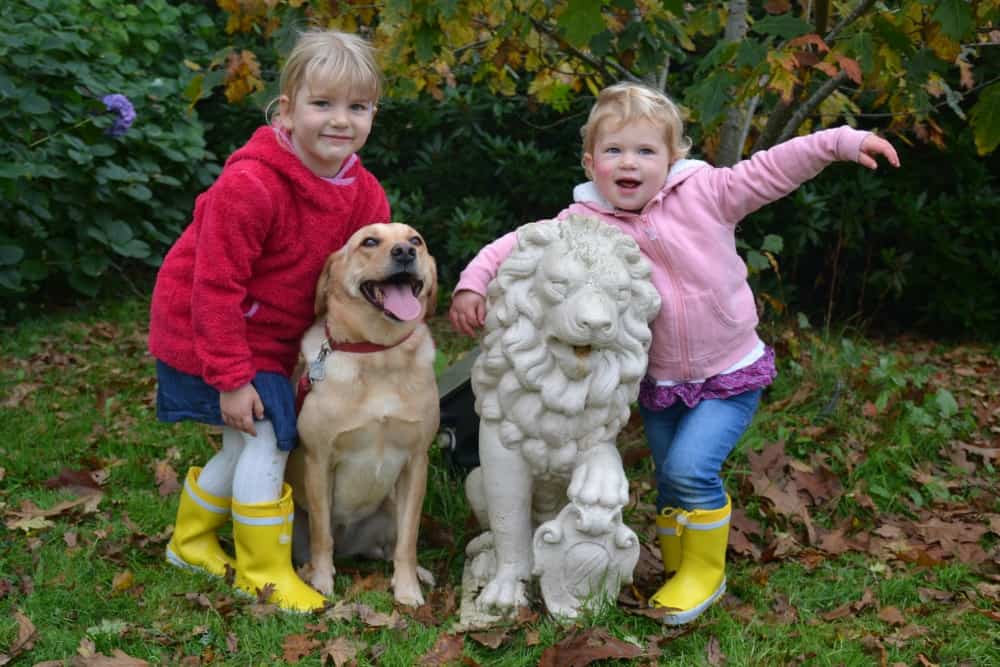 Tin Box girls and dog in garden at Moorland Garden Hotel