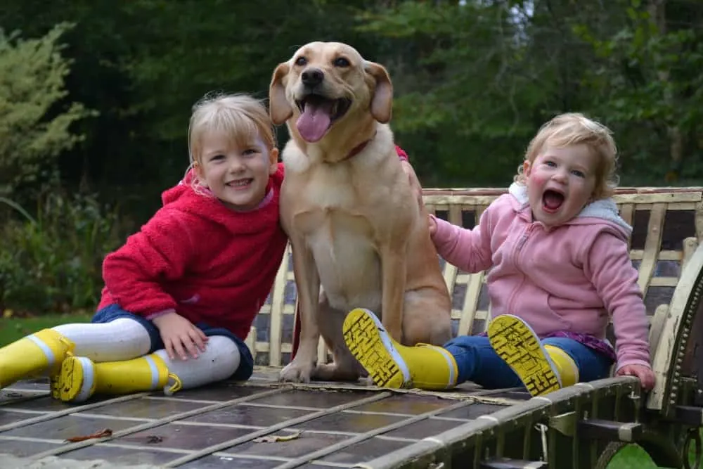 Tin Box girls and dog sat in garden at Moorland Garden Hotel