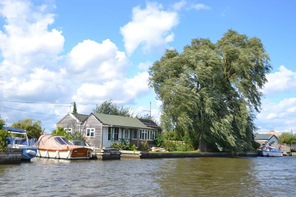 River house with weeping willow - Norfolk Broads with kids