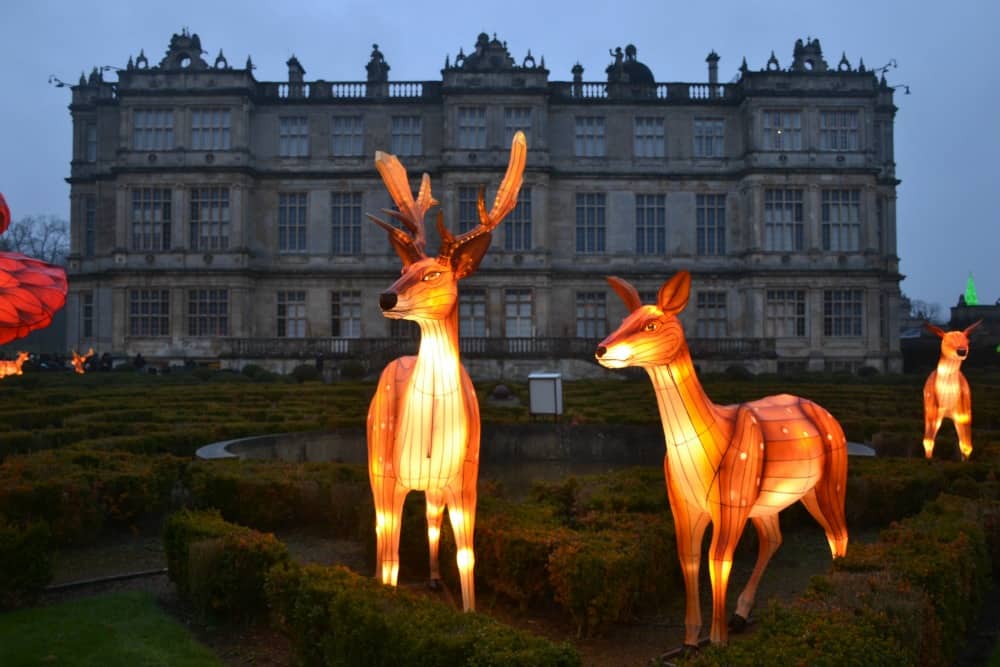Deers in front of Longleat House - Longleat Festival of Light