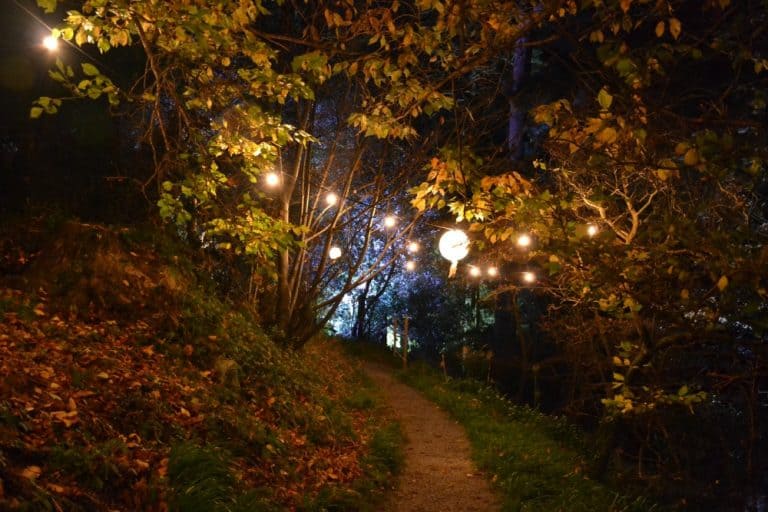 Lights on garden path - Coleton Aglow Coleton Fishacre