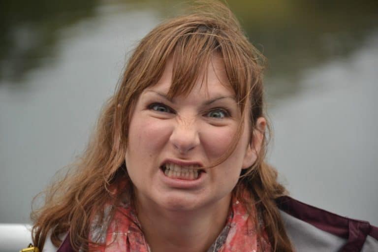Tin Box Traveller - why press trips are not free holidays