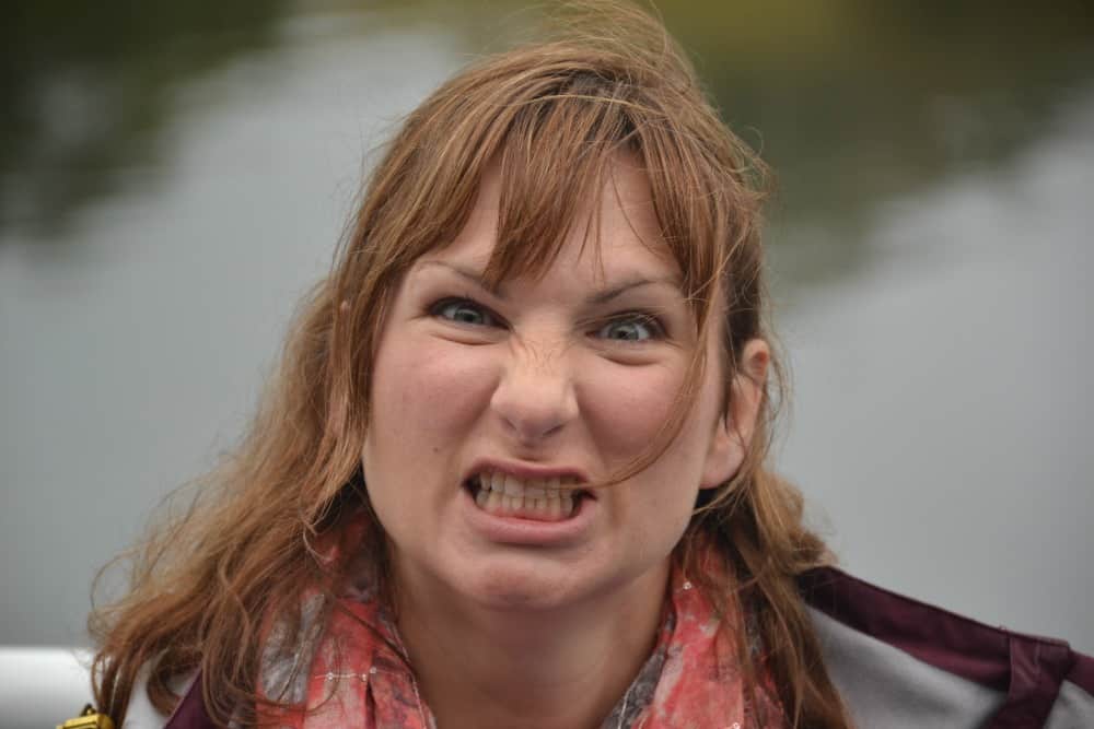 Longleat Festival of Light review a magical winter experience Tin