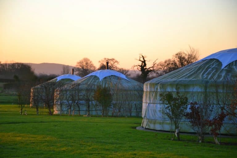 Yurts at sunrise - Caalm Camp review: luxury glamping in Dorset