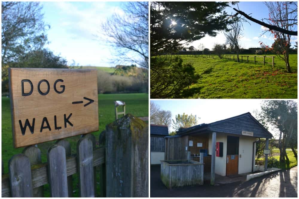 Dog facilities at Ross Park campsite - a dog and family-friendly campsite in Devon