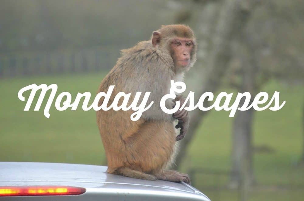 Monday Escapes travel blog linky