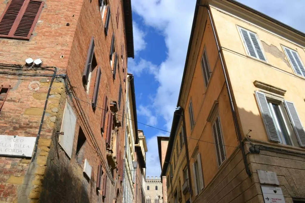 Dragon neighbourhood sign, Siena Italy with kids