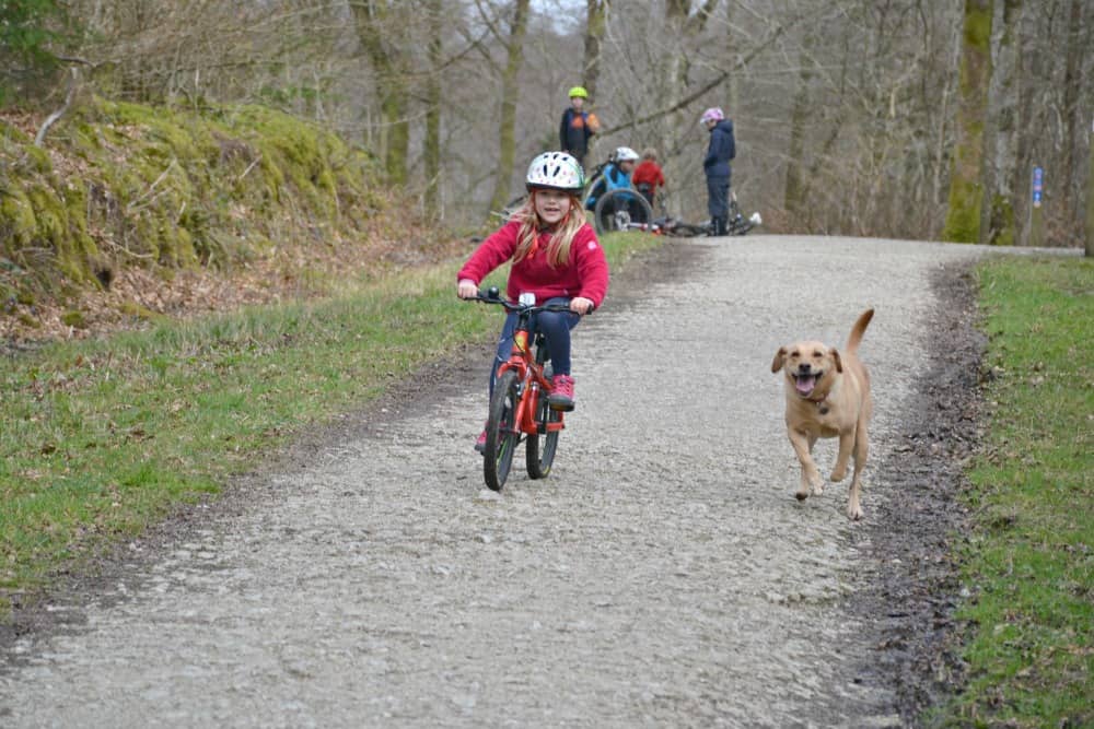 Tot and Tin Box Dog on cycle trail at Lanhydrock