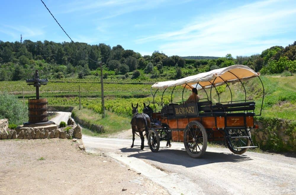 Mule and carriage at Llopart - 7 top ways to discover Costa Barcelona with kids