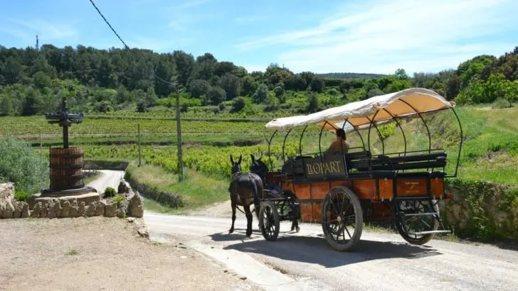 7 things to do in Costa Barcelona with kids